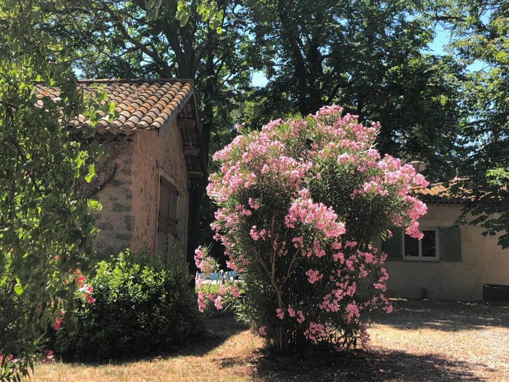 Le Nid Des Corbieres Bed & Breakfast Bizanet Exterior photo